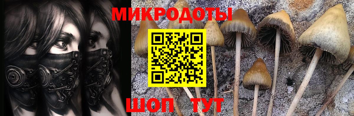 Долгопрудный  Псилоцибиновые грибы Magic Shrooms  Вход с VPN 