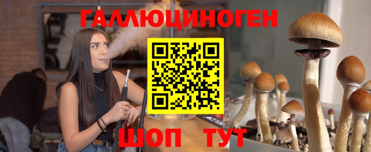 Псилоцибиновые грибы MAGIC MUSHROOMS Долгопрудный